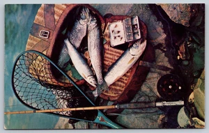 AK Forellen Fliegenfischen Fangrute Rolle Netz Fliegen Korb unbespielt um 1960 - Bild 1 von 2