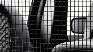 Protective Nylon Net 2016-2021 - Picture 1 of 1