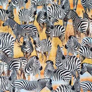 100% Cotton Fabric Michael Miller - Savanna Dazzle Zebra Zoo Animals Realistic - Picture 1 of 5