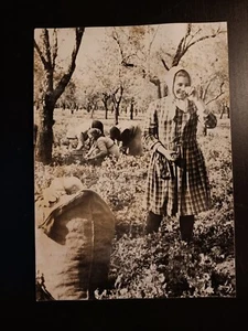 Foto storica Avola - AF1 - Foto 1 di 1