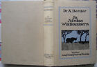 Dr. A. Berger - In Afrikas Wildkammern als Forscher und Jger -  1910 EA