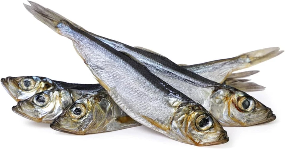 Golosina de pescado entero de arenque de Alaska para perros: capturada en la naturaleza, seca al aire, bolsa de 3,5 oz Foto 1 de 3