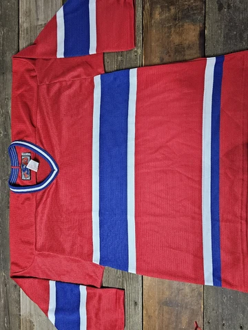 SP Hockey Jersey BLANK PRACTICE Mens L Long Sleeve AHL Cover