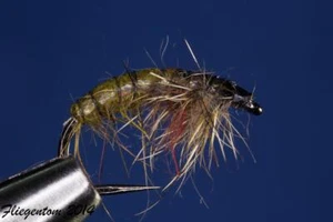 Fliegentom 3 pièces Nymphe tchèque hirsute No 34 - Photo 1/1