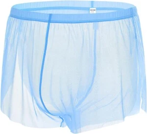 Mens Mesh See Through Boxers Soft Sheer Trunk Refreshing Ultra-thin Loose Shorts - Picture 1 of 47