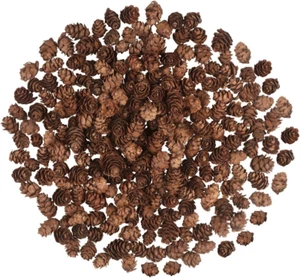 200PCS Christmas Natural Pine Cones Mini Pine Cones Fall Decorations Pinecones O - Picture 1 of 7
