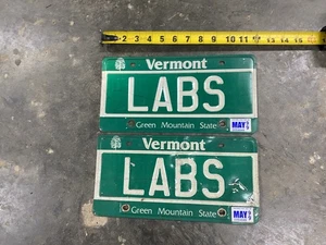 Vermont Vanity Nummernschild VT Tag LABS Vintage Wall Bar Art Man Cave 1999 99 - Bild 1 von 8