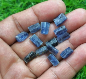 Excellent 13 Pcs Lot Size 10-12 mm Blue Kyanite Raw For Jewelry Loose Gemstone - Picture 1 of 7