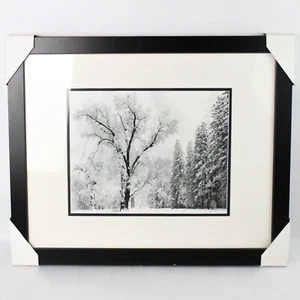 Ansel Adams Art Print Oak Tree snowstorm Yosemite National Park 1948 - Picture 1 of 5