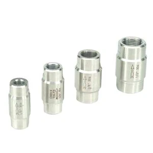 64 Bar 1/8" 1/4" 1/2" BSP Female 304 Stainless Spring Non-return Check Valve - Picture 1 of 26