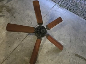 Ceiling Fan - Picture 1 of 4