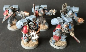 Warhammer 40k Space Wolves Grey Knights Jump Marine Squadron Well Painted - Picture 1 of 2