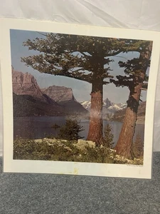 Vintage Glacier National Park Laminated Print - Picture 1 of 8