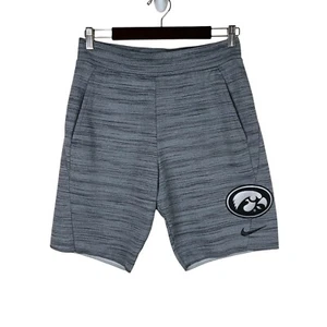 Nike Men’s Shorts Iowa State Hawkeyes Dri-Fit Pockets Gray Heathered Waist 28” - Picture 1 of 5