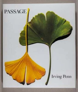 Irving Penn / Passage a work record 1st Edition 1991 - Imagen 1 de 8