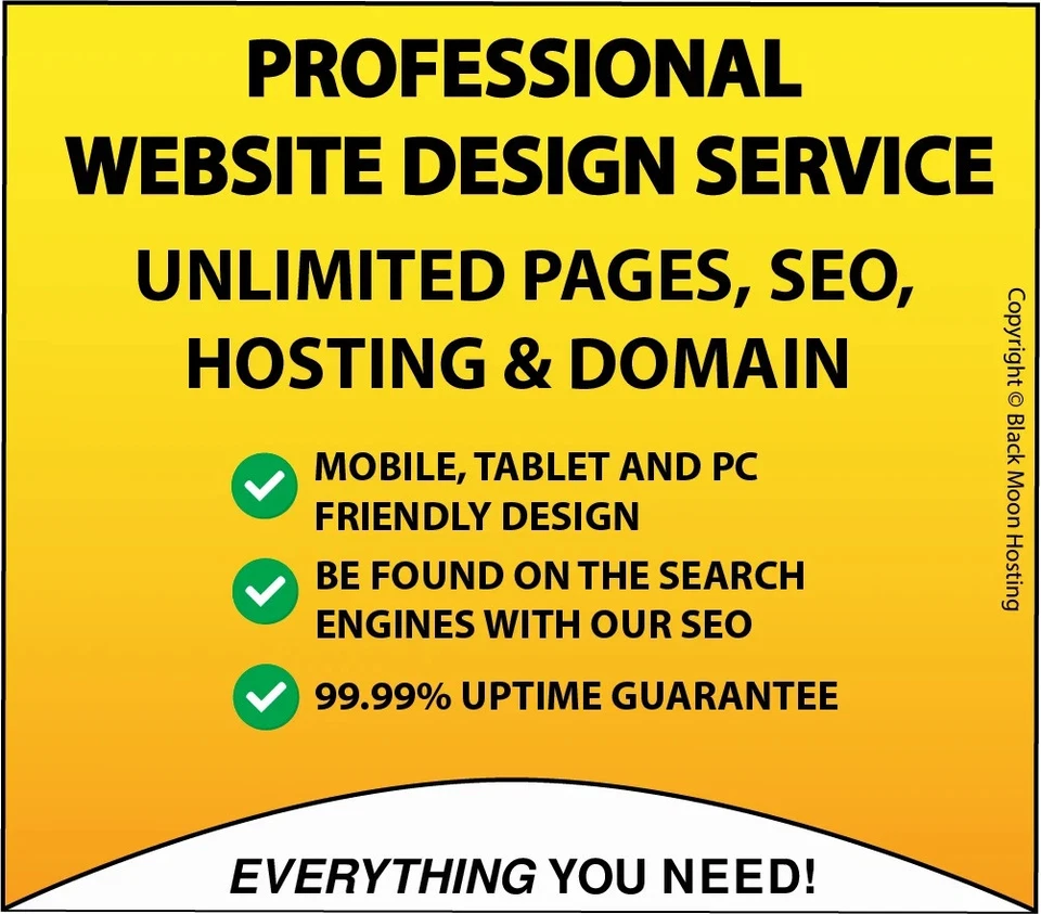 Web Website Design Service -  Unlimited Pages, Hosting - NO PAYMENT UPFRONT! - Image 1 of 4