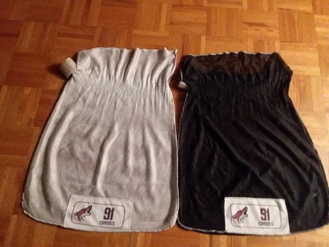 ARIZONA COYOTES Taylor Hall 2 different used #91 laundry bags (2019-2020 season) Cover