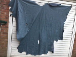 Großes Lederfell blaugrau WAPPEN - Bild 1 von 6