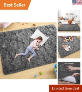 Ultra Soft Dark Grey Rugs for Bedroom 4x6 Feet, Fluffy Shag Area Rugs for Liv... - Picture 1 of 8