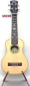 Alulu Solid Spruce top Indian Rosewood wood Concert 23 inch Ukulele UIC09 - Picture 1 of 7