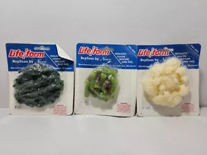 Life Form Replicas di Nasco Food Props Spinaci Asparagi Cavolfiore Nuovo IndossatoPkg - Foto 1 di 14