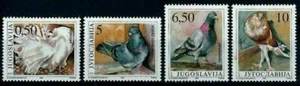 Yugoslavia 1990 ☀ Fauna Animals Birds - Pigeons ☀ MNH** - Picture 1 of 1