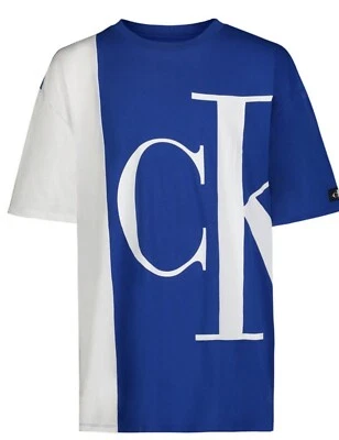 NEW Calvin Klein t shirt Boys Blue White  - Image 1 of 2