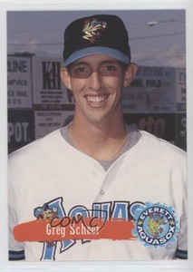 1995 Multi-Ad Everett Aquasox Greg Scheer #20