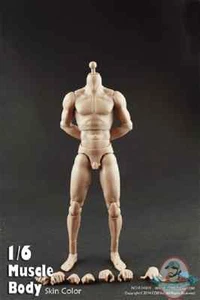 Coo Model 1/6 Scale Figure 2.0 Standard Male High Body CM-BD002 - Picture 1 of 1