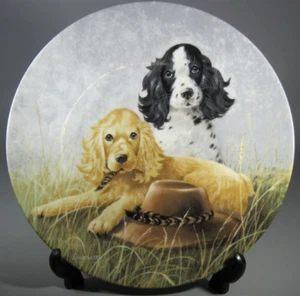 Hat Trick Field Trips Knowles 8 1/2 Inch Collector Plate by Lynn Kaatz - Picture 1 of 5