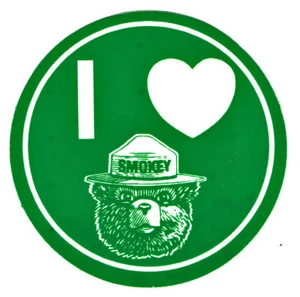 ⫸ Offizieller "I LOVE SMOKEY BEAR" GLOW IN DARK 3" Feuerwehr Aufkleber - schneller Versand - Bild 1 von 2