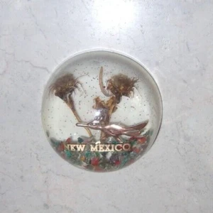 Vtg Older 2.5" Lucite Souvenir Dome Paperweight NEW MEXICO Roadrunner MCM - Picture 1 of 8