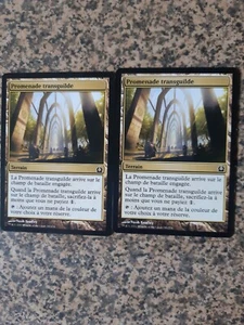 MTG - 2 x Transguild Promenade - Return to Ravnica - FRENCH - Picture 1 of 1