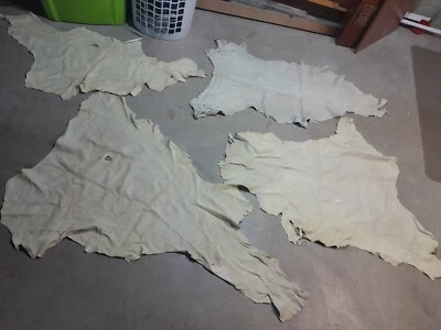 White Tail Deer Leather Hide - Image 1 of 4
