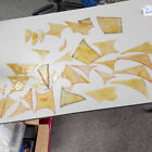 Early 1800s Lot of 35 Odd Shaped Tan Opaque Stained Glass Panels Wheeling WV