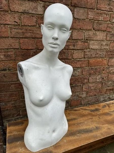 Adel Rootstein Mannequin Torso - Picture 1 of 6