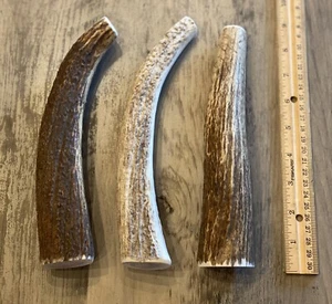 (3 PACK) X-LARGE Elk/Deer Antler Premium Dog Chews **OREGON ANTLER WORKS** - Picture 1 of 6