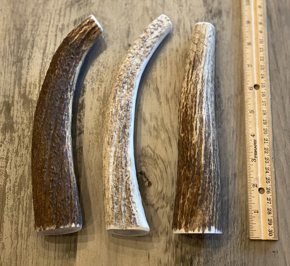 (3 PACK) X-LARGE Elk/Deer Antler Premium Dog Chews **OREGON ANTLER WORKS** - Image 1 of 4