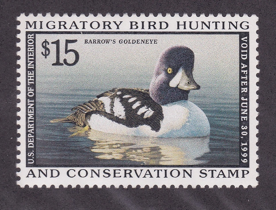 RW65 Barrow's Goldeneye Duck Stamp MNH OG Cv45.00 - Image 1 of 1