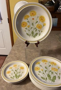 VTG JC Penny Serving Plate, 5 Dinner Plates & 3 Desert Plates Spring Valley - Picture 1 of 18