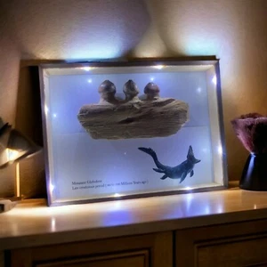 How To Add Some Ancient Charm And Glow With Original Jaw mosasaur Globidens - Picture 1 of 11