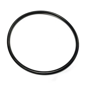 Deckel O-Ring für Waterway Supreme Pumpe - ersetzt 805-0439 - Bild 1 von 1