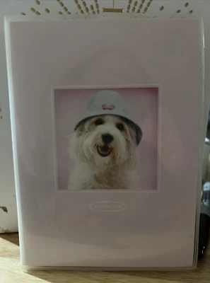 VTG Puppy Photographer Rachel Hale Photo Book 2004 5 x 7 Dog w/ Hat Adorable! - Image 1 of 4