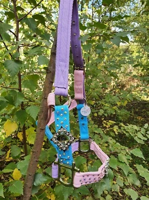 Unicorn Princess Colour Rhinestone Equine Webbing Headcoller Mixed Colours - Image 1 of 4
