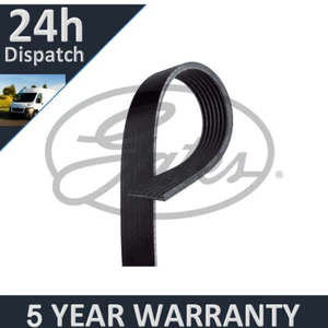 Gates V-Ribbed Belts For Nissan Juke 2010- Note 2006-08 1.6 750 Brand New G3696 - Picture 1 of 7