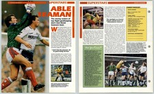 David Seaman - Superstars - Orbis Football Collection 1990-91 Page