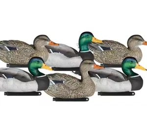 New Dakota Decoy X-Treme Packable Mallards Painted Heads Decoys 6-Pack - Picture 1 of 1