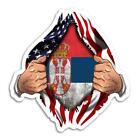 Gift Sticker : Serbia Flag USA American Chest Serbian Expat Country