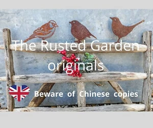 Rusty metal garden birds, Sparrow, Robin, Blackbird, Blue tit, Garden Decor UK - Picture 1 of 56