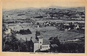 A8776) OVADA HILLS ALEXANDRIA CUTTLE - Picture 1 of 2